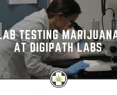 Lab Testing Marijuana at DigiPath Labs