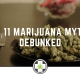 Top 11 Marijuana Myths Debunked