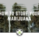 How To Store Your Marijuana