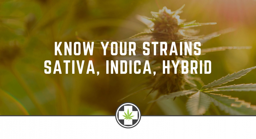 Know Your Strains Sativa, Indica, Hybrid