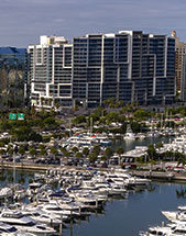 Sarasota Marijuana Doctors