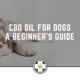 CBD Oil for Dogs - A Beginner’s Guide