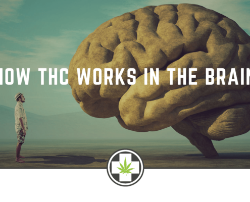 How THC Works in the Brain