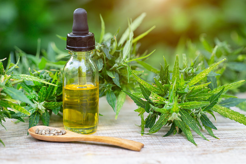 CBD and Cancer: Benefits and Dosage