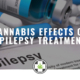 cannabis epilepsy