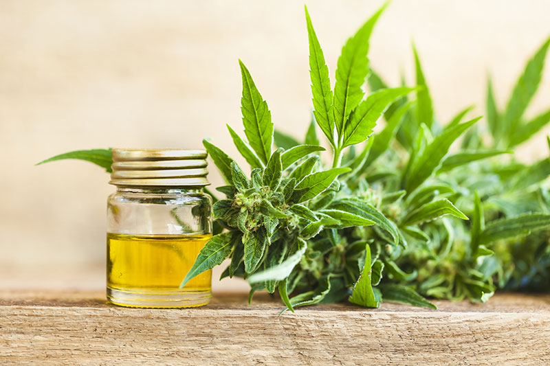 CBD & cardiovascular health