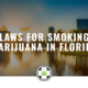 Laws for Smoking Medical Marijuana in Florida