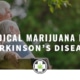 medical marijuana & Parkinson's