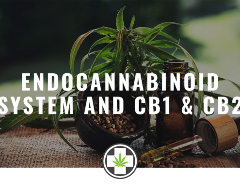 endocannabinoid